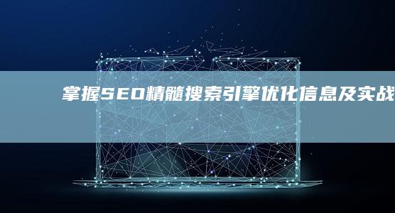 掌握SEO精髓：搜索引擎优化信息及实战策略